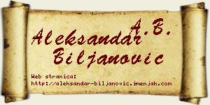 Aleksandar Biljanović vizit kartica